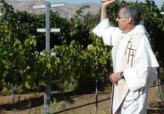 加州教区出售由墓地种植的葡萄制成的优质葡萄酒
